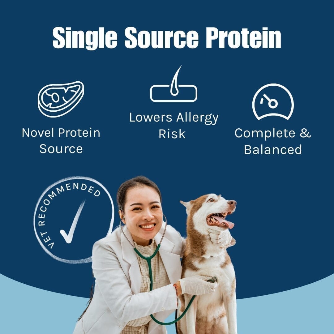 Duck Grain-Free Dog Food (France)