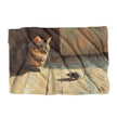 Rooftop Cat's Curious Blanket