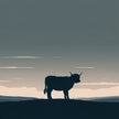 Highland Cow Dusk Silhouette Canvas