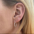 The Twisted Hoops
