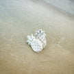 Large Pineapple Studs