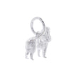 King Charles Spaniel Personalised Silver Dog Tag Necklace