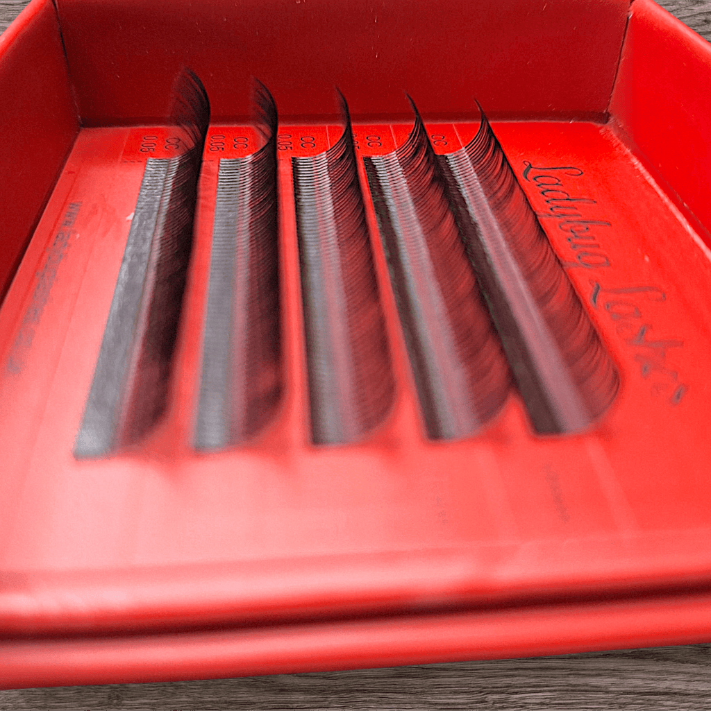 Sample Tray Angel Lash Fans