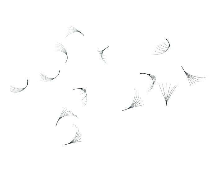 Loose Promade Premade Fans Mixed Box Smaller Sizes 3d-7d