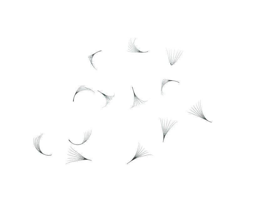 Loose Promade Premade Fans Mixed Box Smaller Sizes 3d-7d