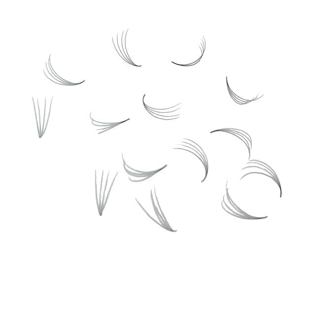 Loose Promade Premade Fans Mixed Box Smaller Sizes 3d-7d
