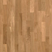 Basketball Court Flooring - Boen Boflex Stadium