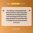 Pure Ostrich Wet Dog Food (Africa)
