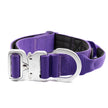 Collar Táctico BTactical™ de Nailon de 4 cm | Morado Lavanda