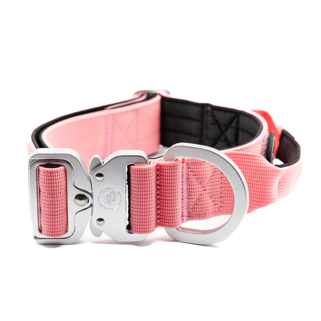 Collar Táctico B™ de Nylon de 4 cm | Rosa Precioso - NUEVO