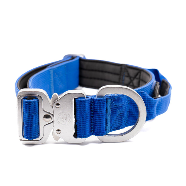 Collar táctico BTactical™ de nailon de 4 cm | Azul real - NUEVO