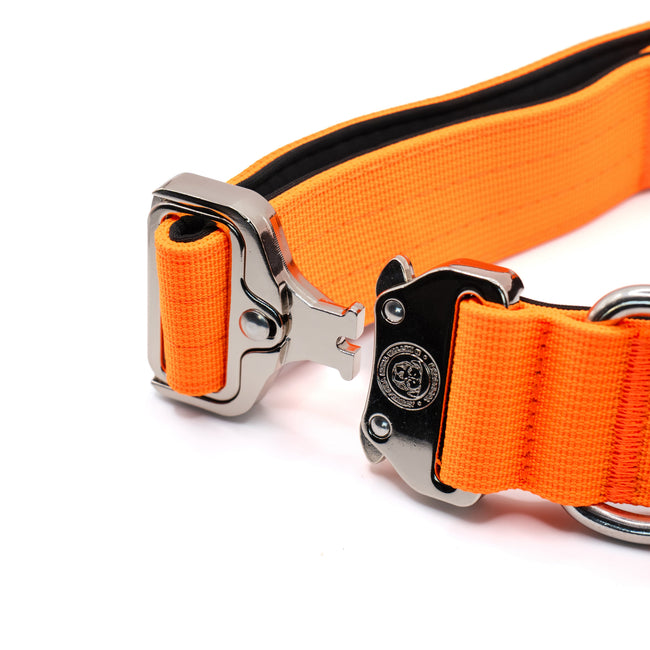 Collar táctico BTactical™ de nailon de 4 cm | Naranja cítrico