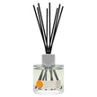 SANTAL VANILLE DIFFUSER 100ML