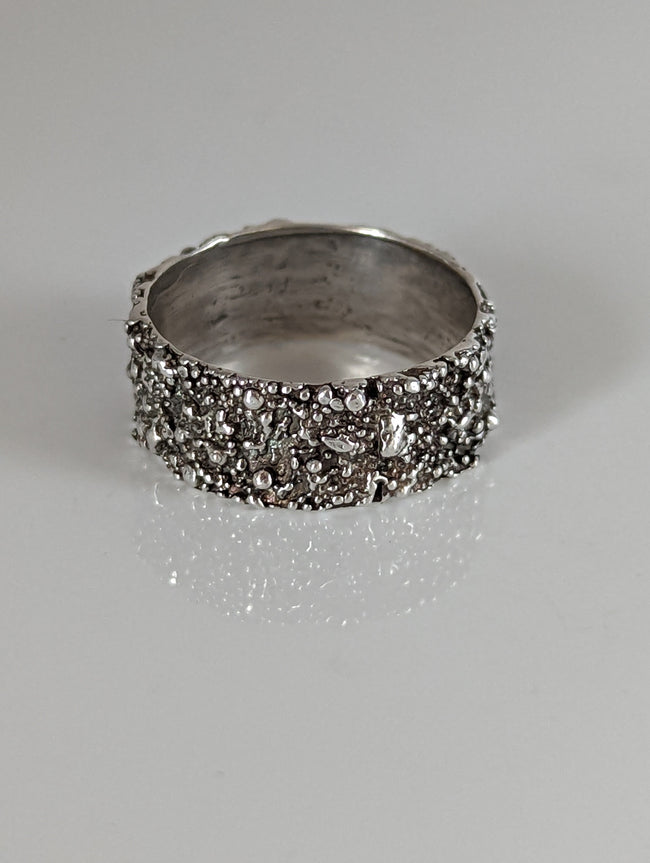 Silver Steed Unique Structure Ring