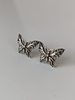 Silver Steed Butterfly Stud Earrings