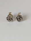 Silver Steed Carnation Stud Earrings