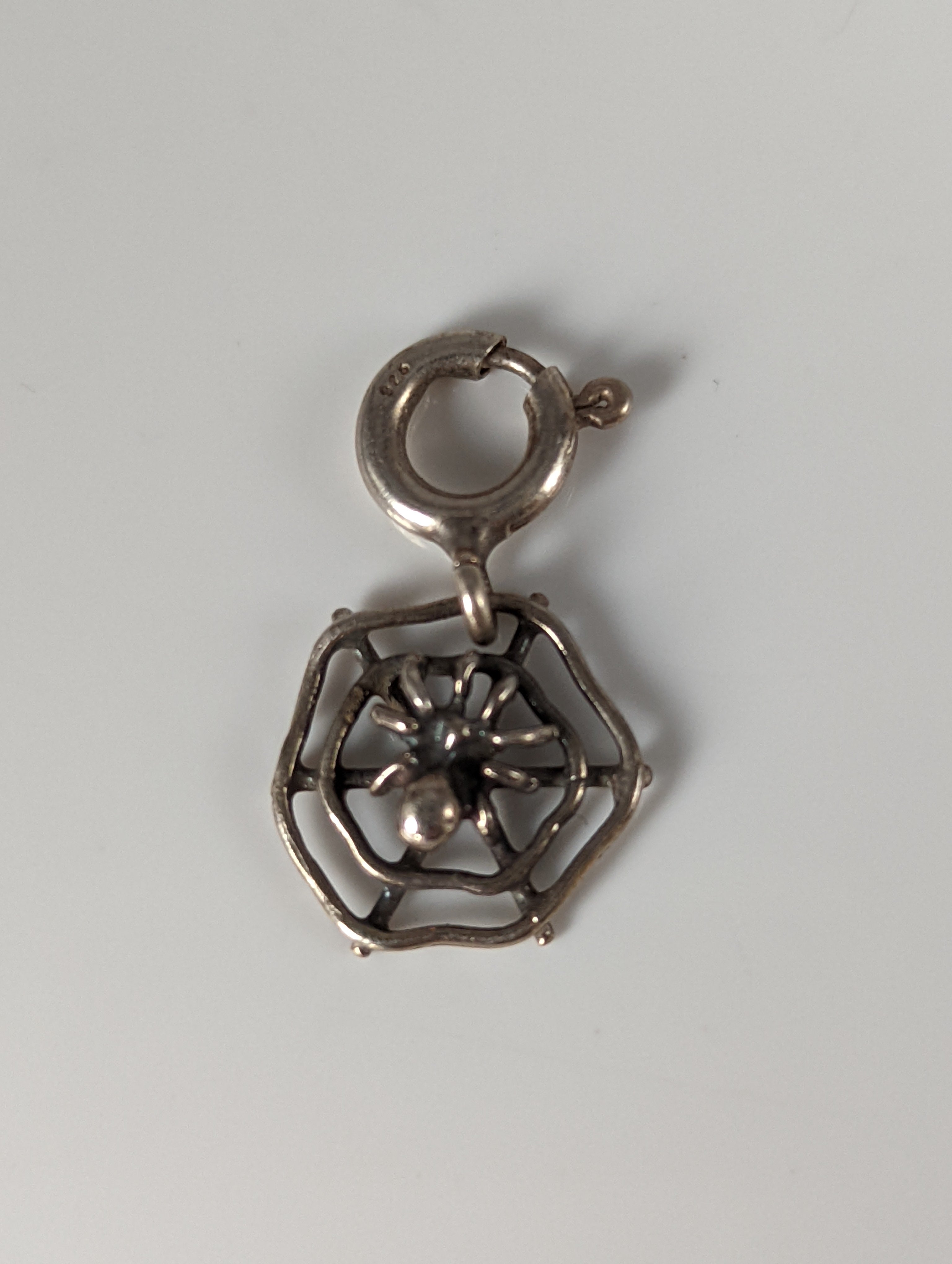 Silver Steed Spider Web Silver Charm