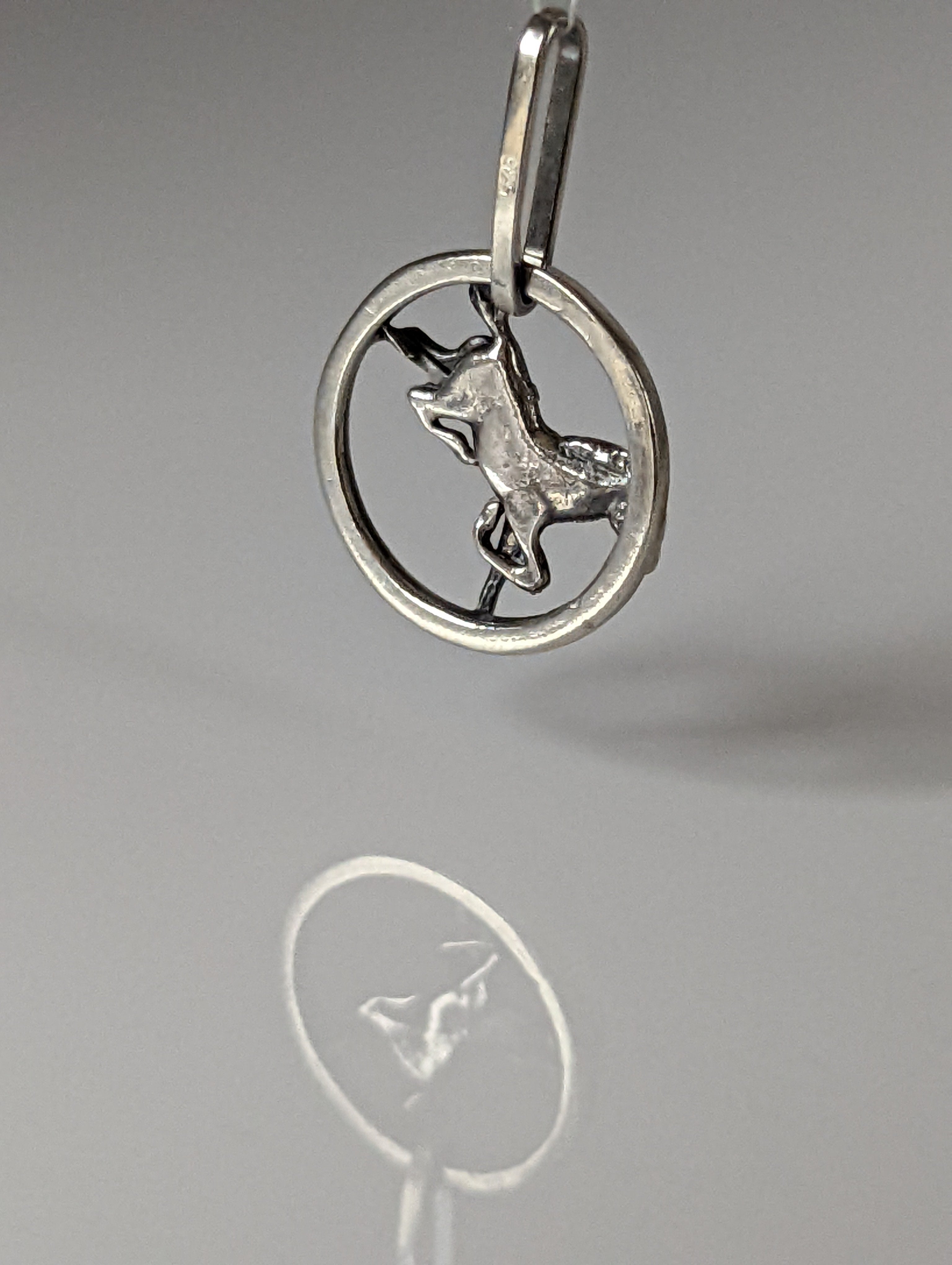 Silver Steed Horse in a Circle Pendant