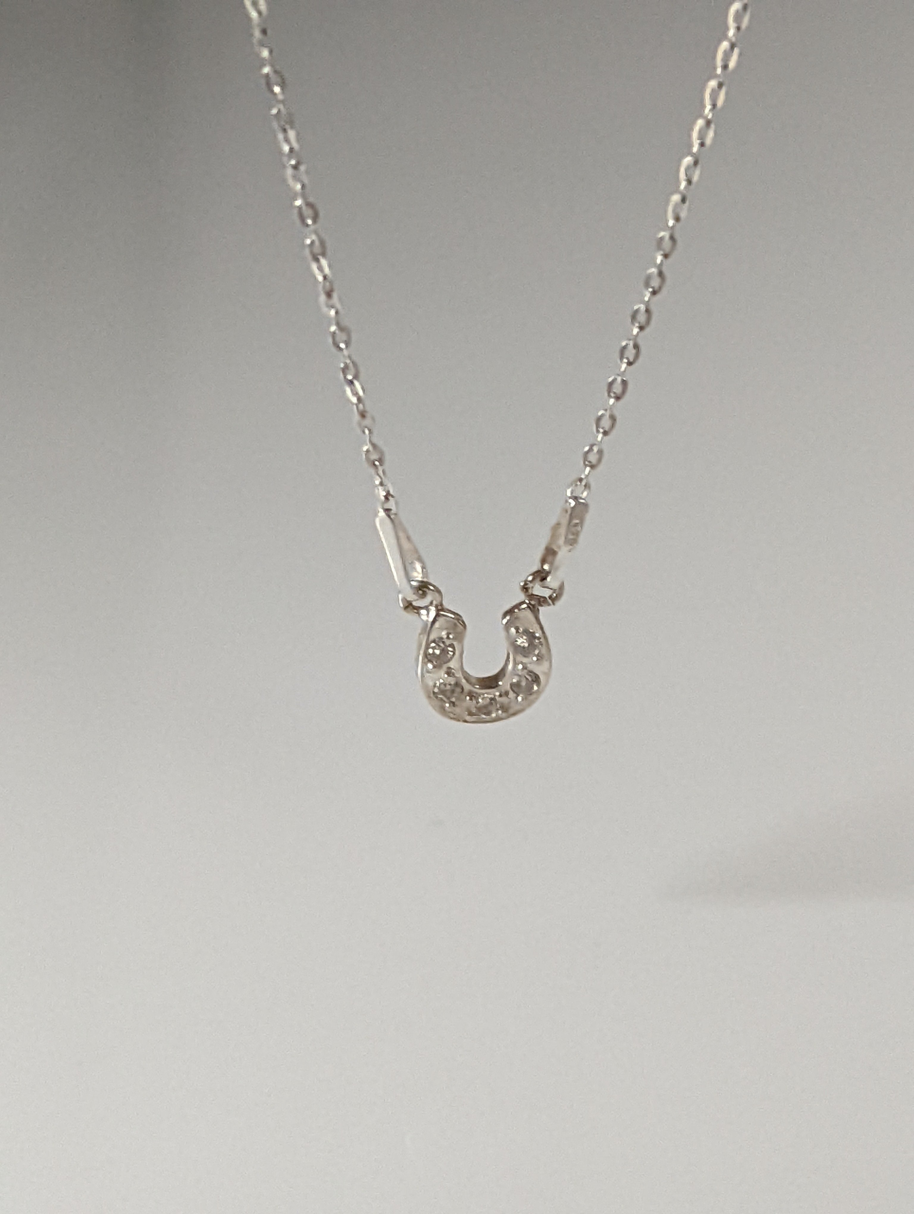 Silver Steed Crystal Horseshoe Necklace