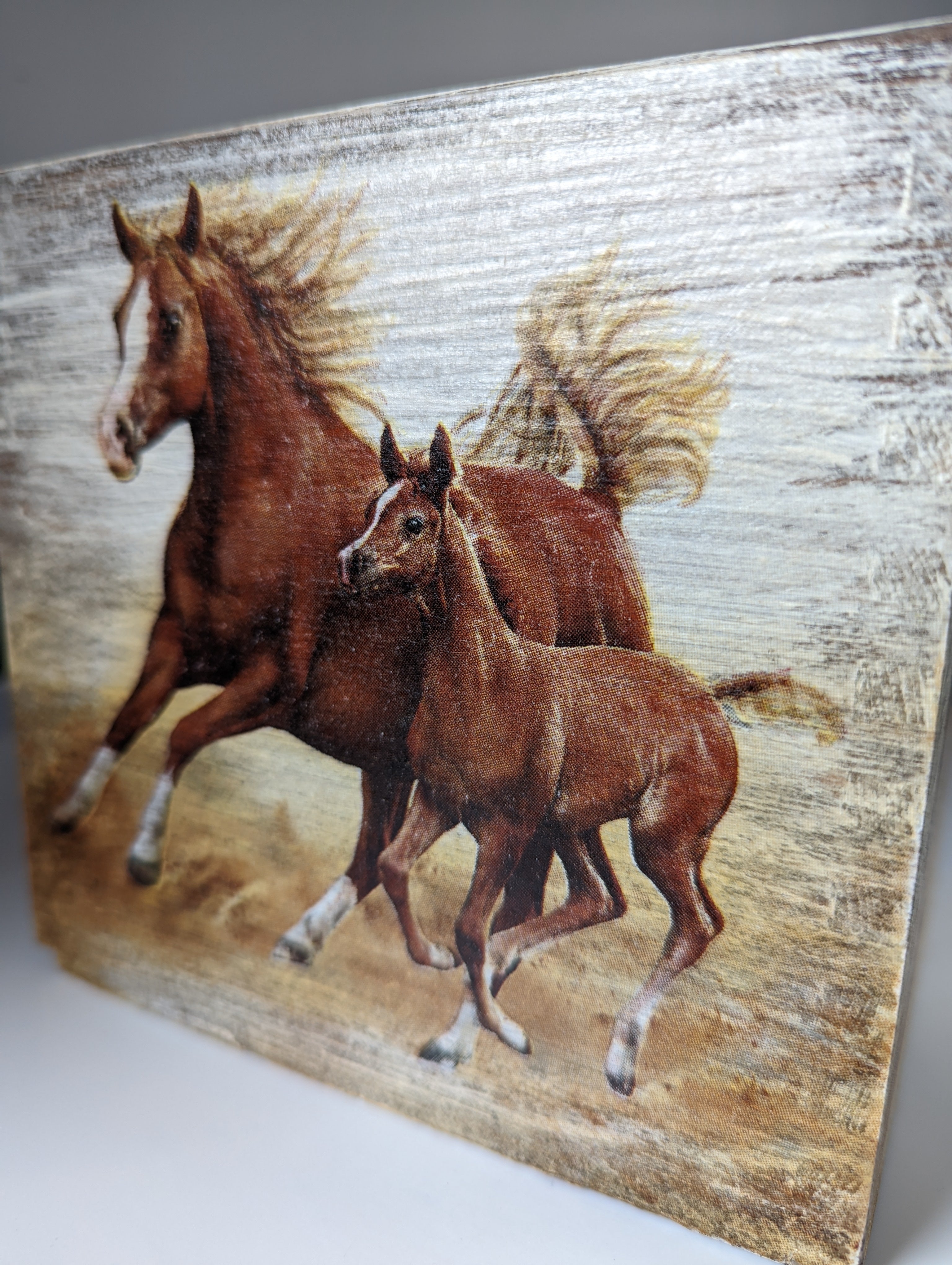 Silver Steed Tissue Boxes