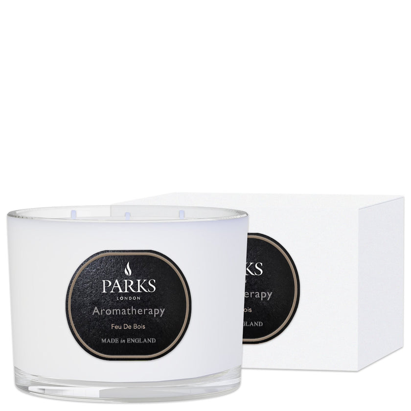 FEU DE BOIS CANDLE 3 WICK 350G