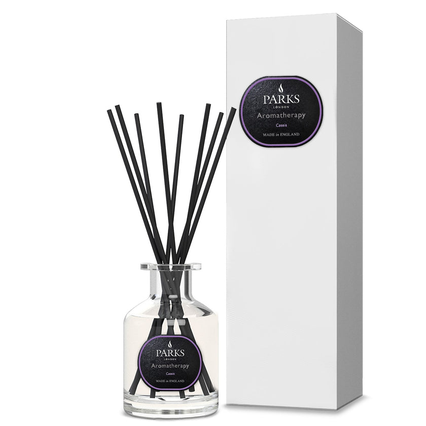 CASSIS DIFFUSER 100ML