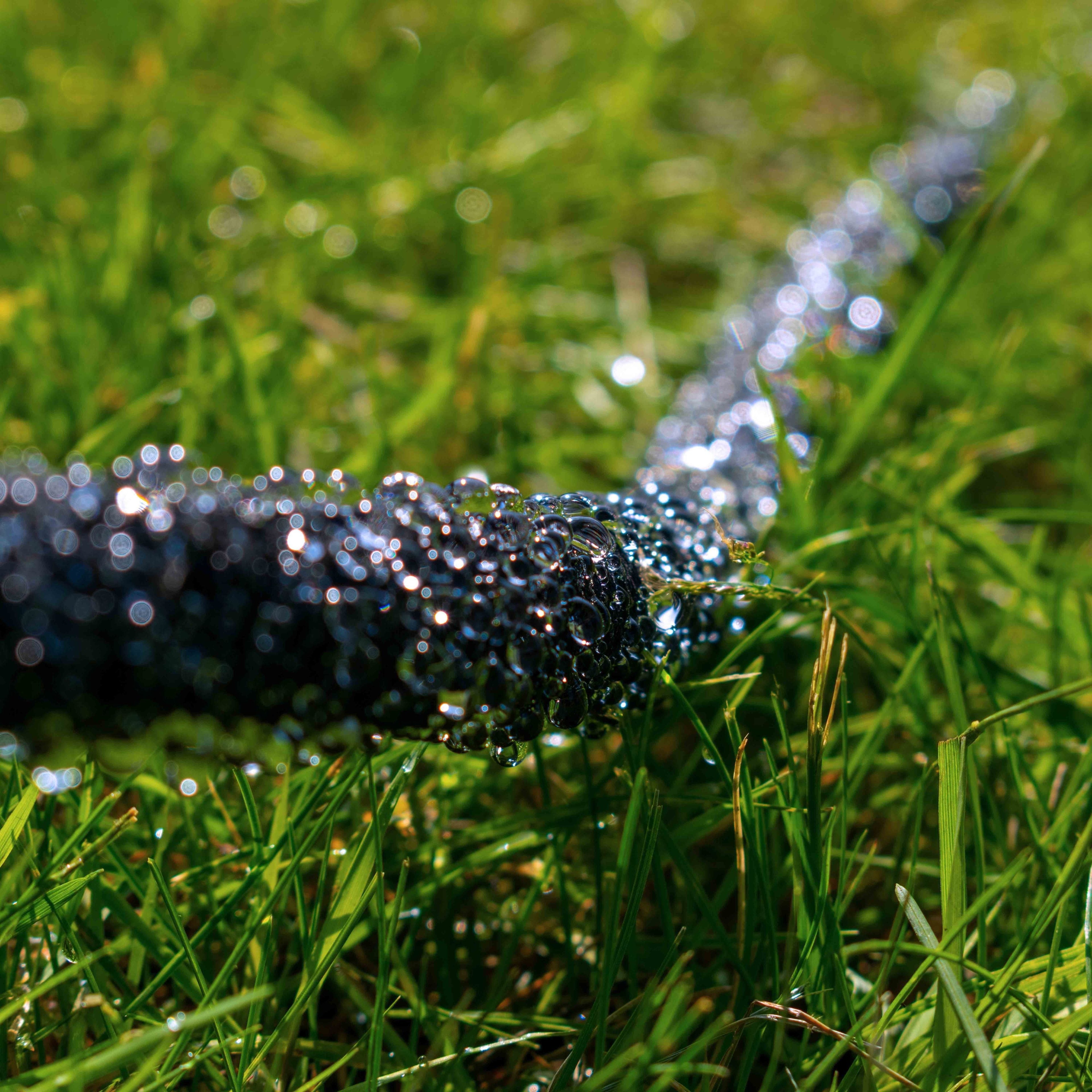 Porous Pipe with Connector Cost Wise 25m