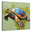 Turtle's Radiant Canvas