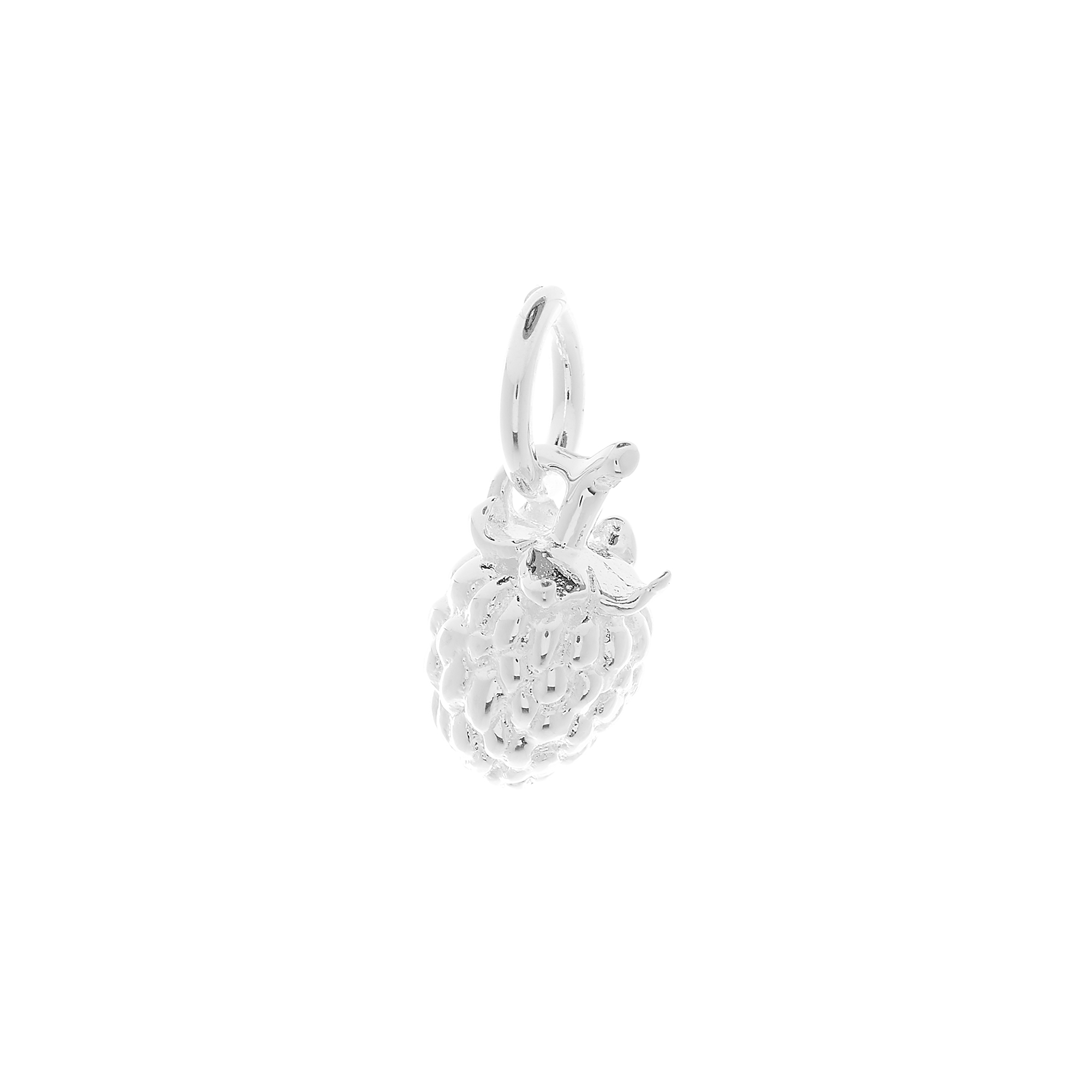Raspberry Silver Charm