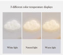 Remote Control Cloud Wall Lamp LED Adjustable Light Temperature
