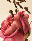 Medina Rose 250g Scented Soy Candle Refill