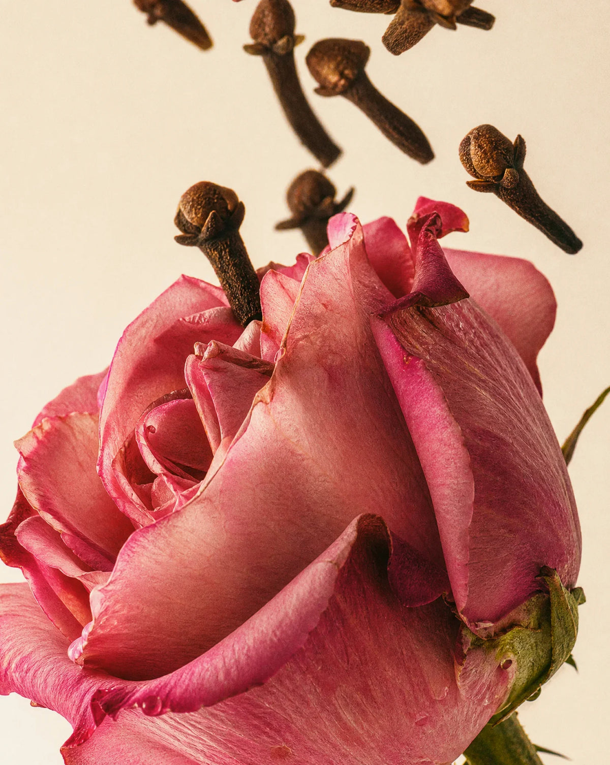 Medina Rose 250g Duftkerze aus Sojawachs