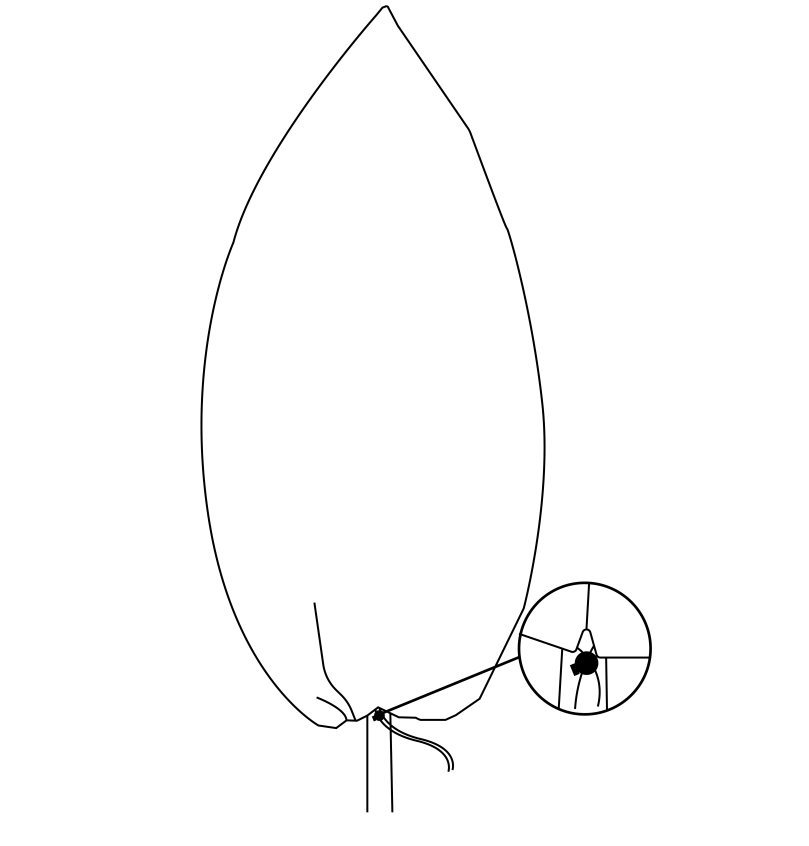 Protective Plant Cover, 50gsm Sack with Cord, Diameter: 64 cm, Size: 1m × 1.6m