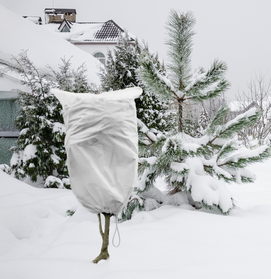 Protective Plant Cover, 50gsm Sack with Cord, Diameter: 76 cm, Size: 1.2m × 1.8m