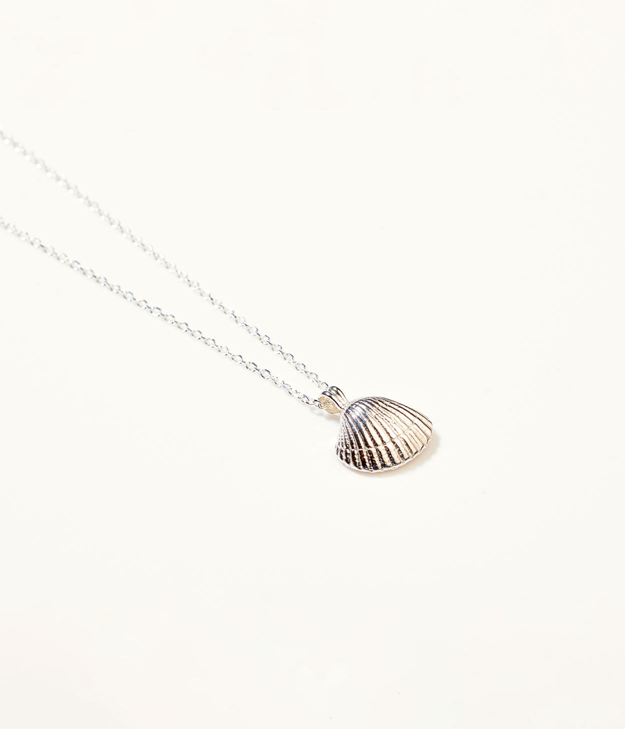 Amber Sea Shell Necklace