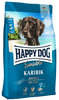 Sea Fish Dry Dog Food (Karibik)