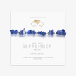 Lapis Lazuli Gemstone Bracelet