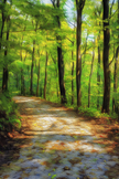 Spring Woodland Awakening Canvas
