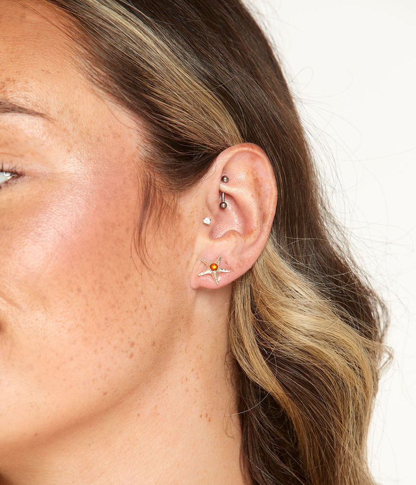 Amber Starfish Stud Earrings