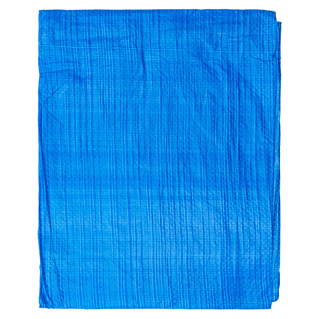Blue S-Grade Tarpaulin 3m x 3m