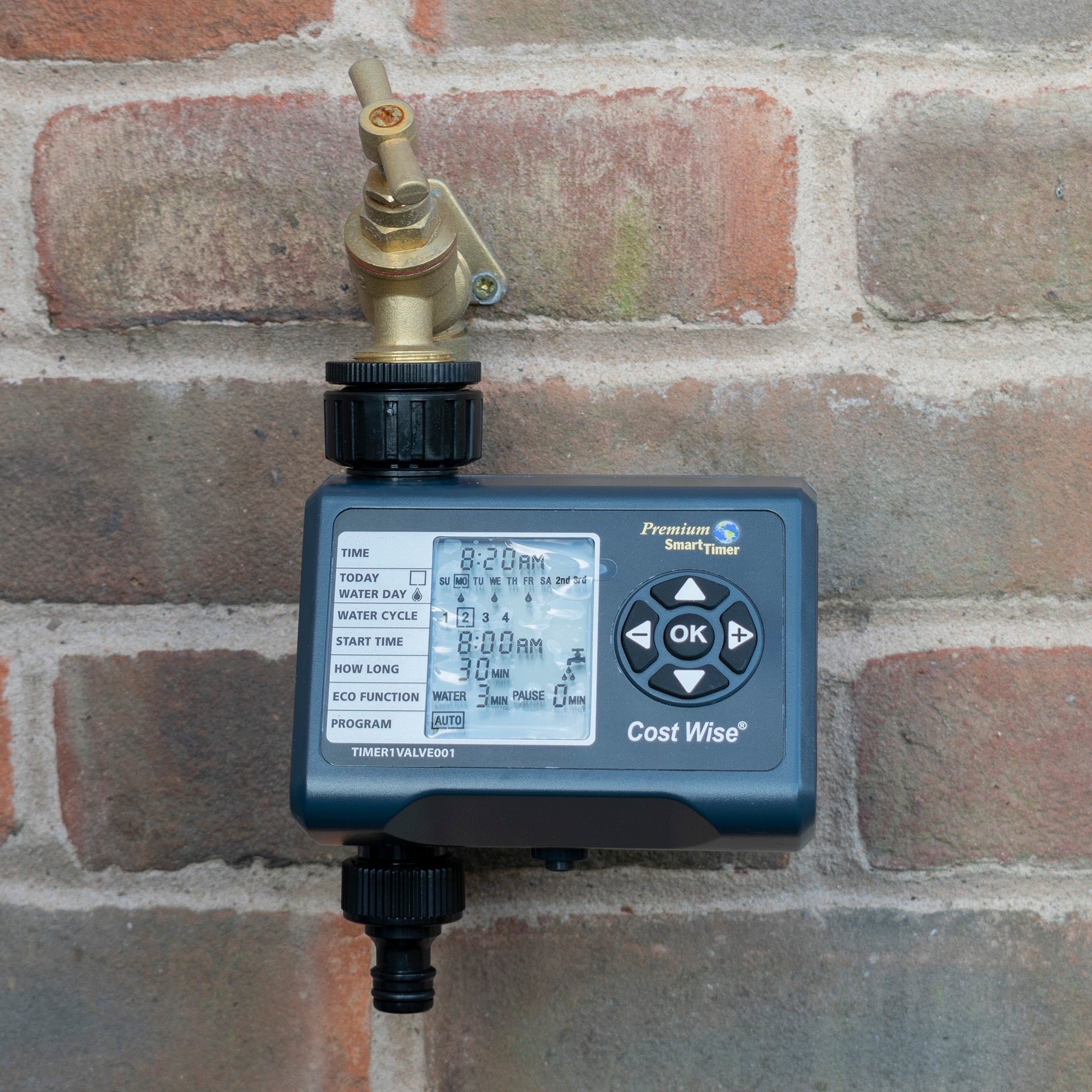 Cost Wise Single Outlet Water Timer