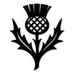 Scottish Thistle Metal Wall Art – 15cm | Gloss Black Steel