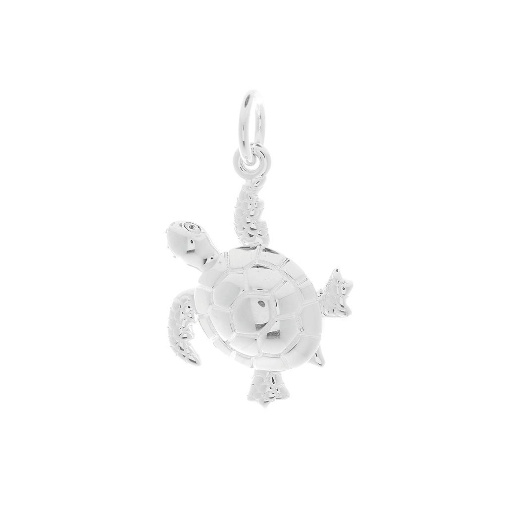 Turtle Silver Charm