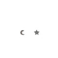 Moon and Star Studs