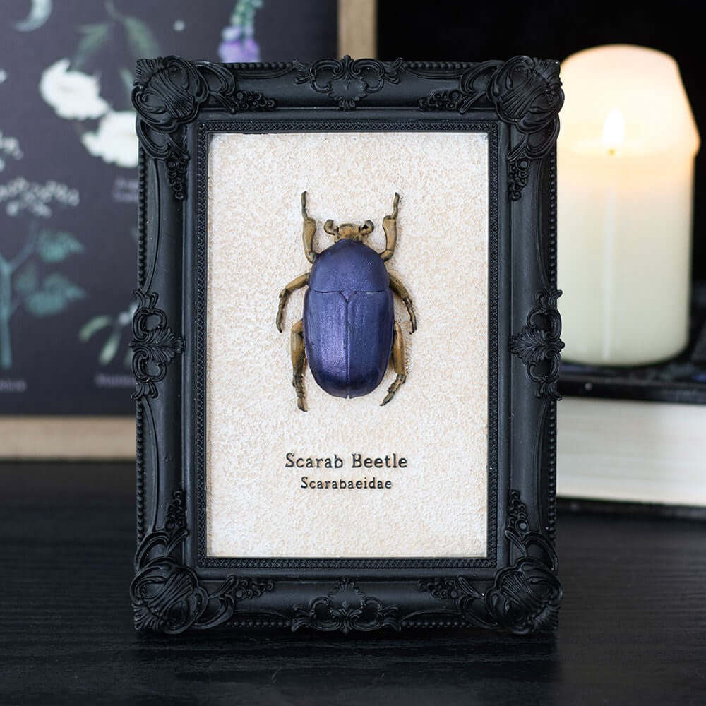 Gothic Gifts Scarab Beetle Framed Wall Art Print
