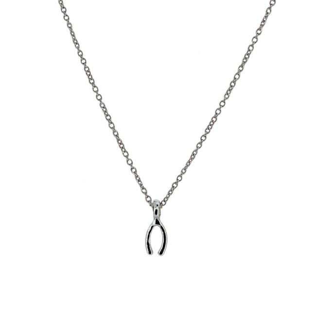 Lucky Charm Wishbone Necklace