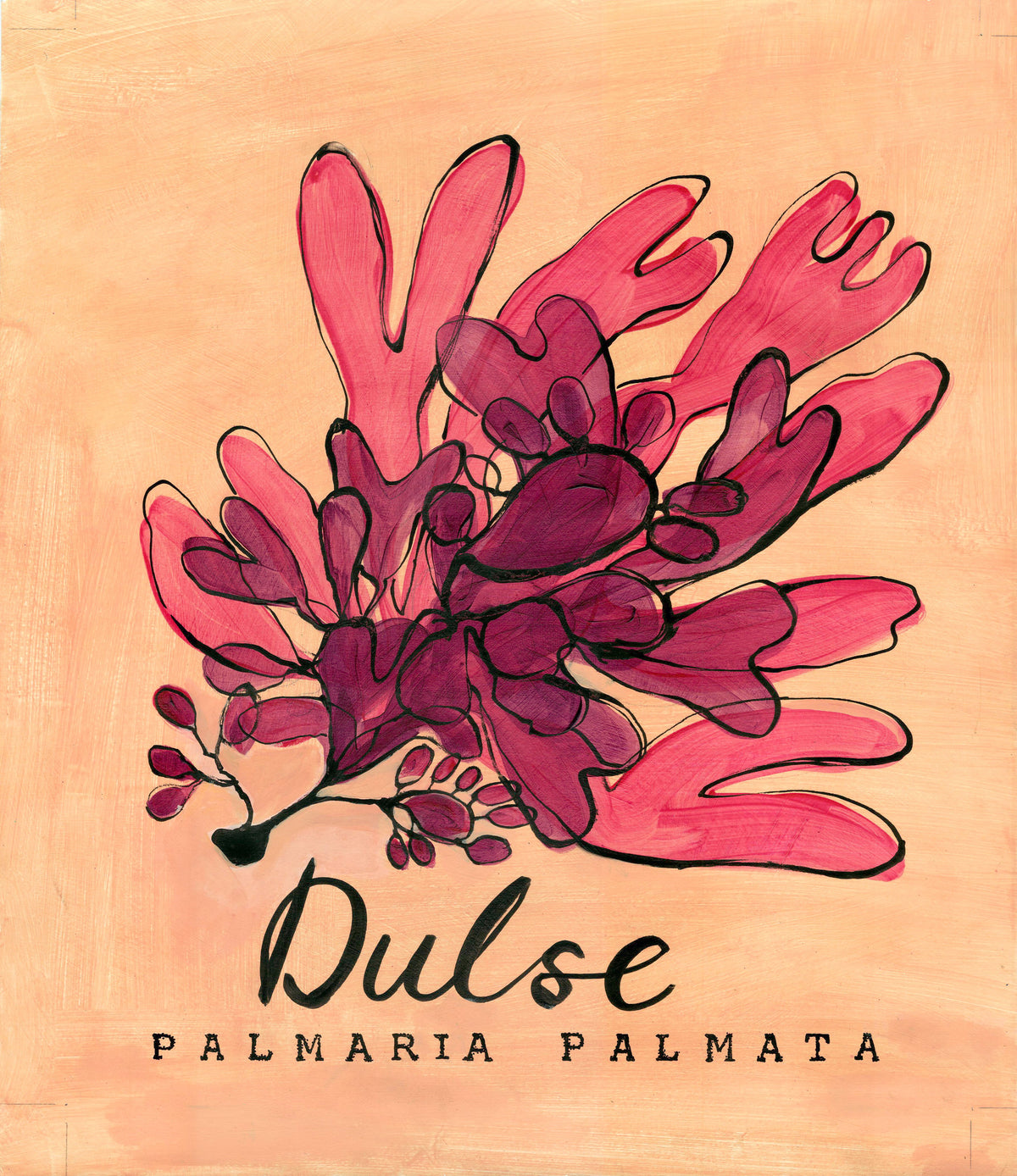 Dulse Seaweed  - Cornish Sea Life Series - Giclée Print