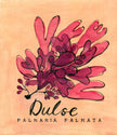 Dulse Seaweed  - Cornish Sea Life Series - Giclée Print
