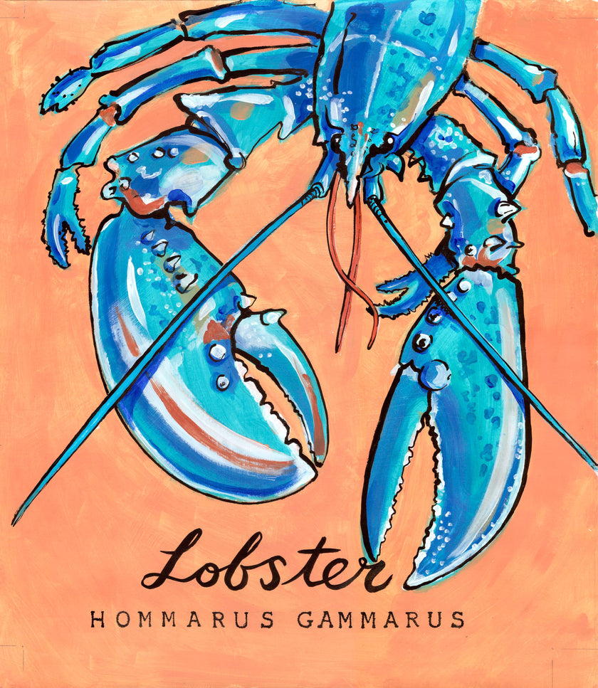 Lobster - Cornish Sea Life Series - Giclée Print