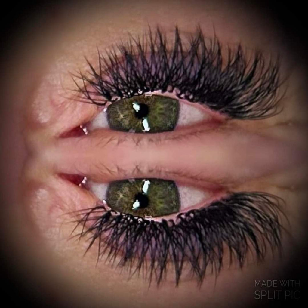 Sample W Lash Tray